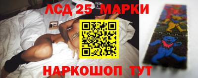 шишки Берёзовский