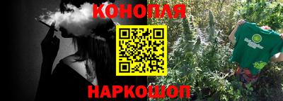 шишки Берёзовский