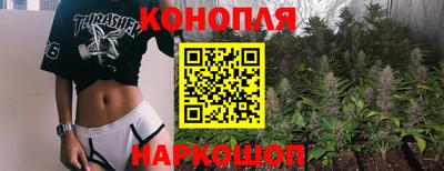 шишки Берёзовский