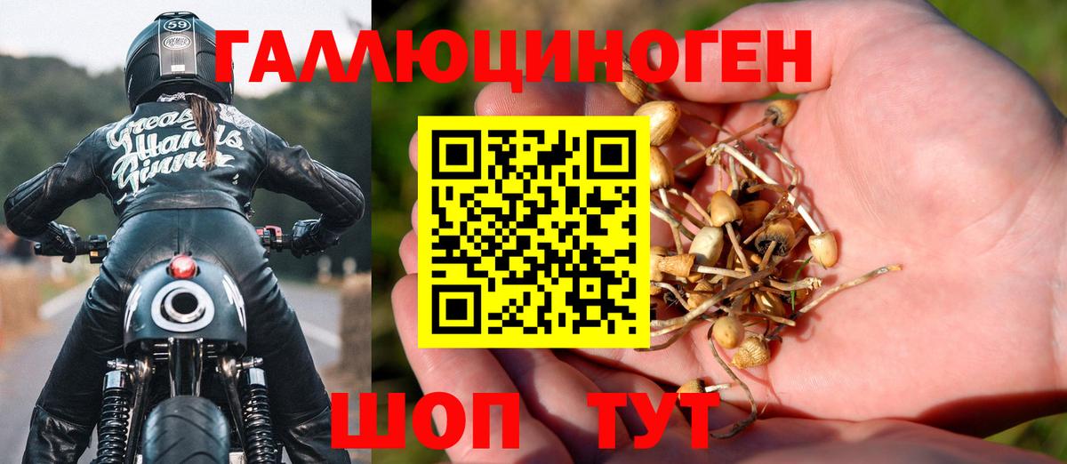Галлюциногенные грибы Psilocybe  Псилоцибиновые грибы Cubensis  Камышин  Вход с VPN 