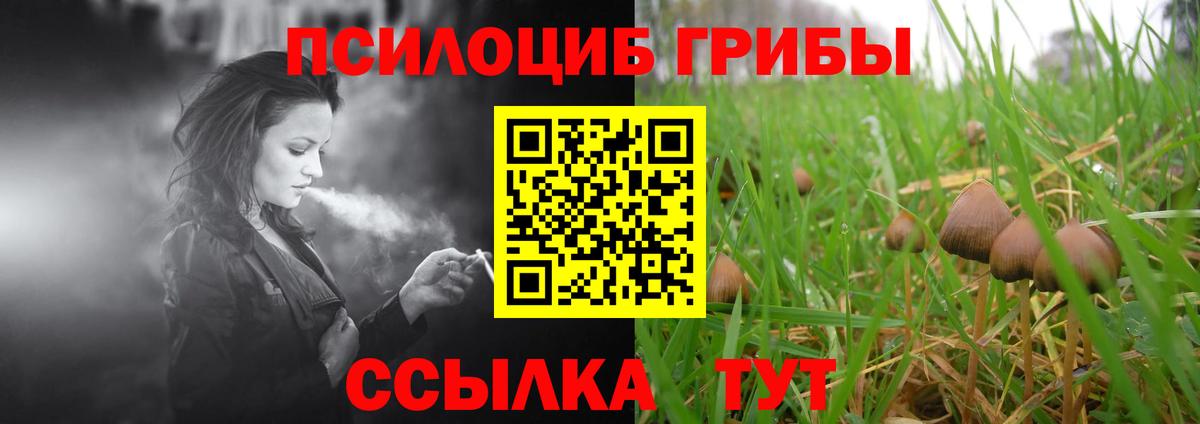 Псилоцибиновые грибы GOLDEN TEACHER Камышин
